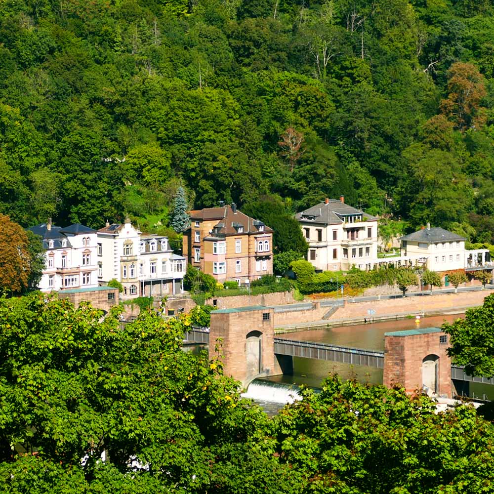 Fotografija 1. Omnijinog malog podsjetnika, godina druga