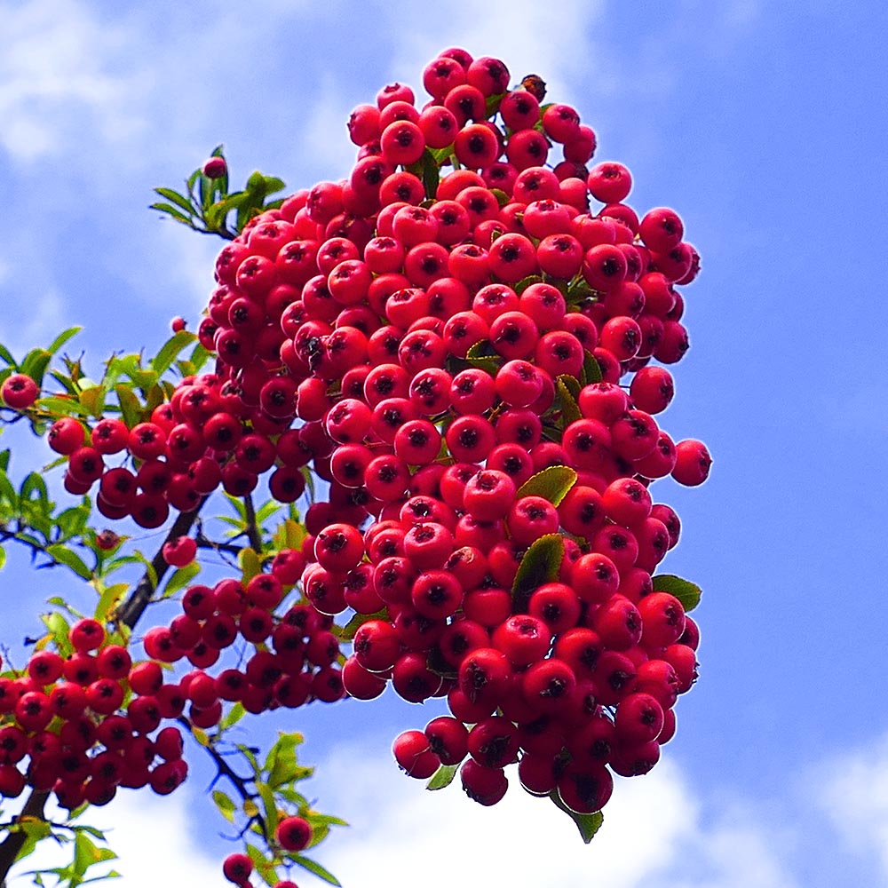 Fotografija 2. Omnijinog malog podsjetnika, godina druga