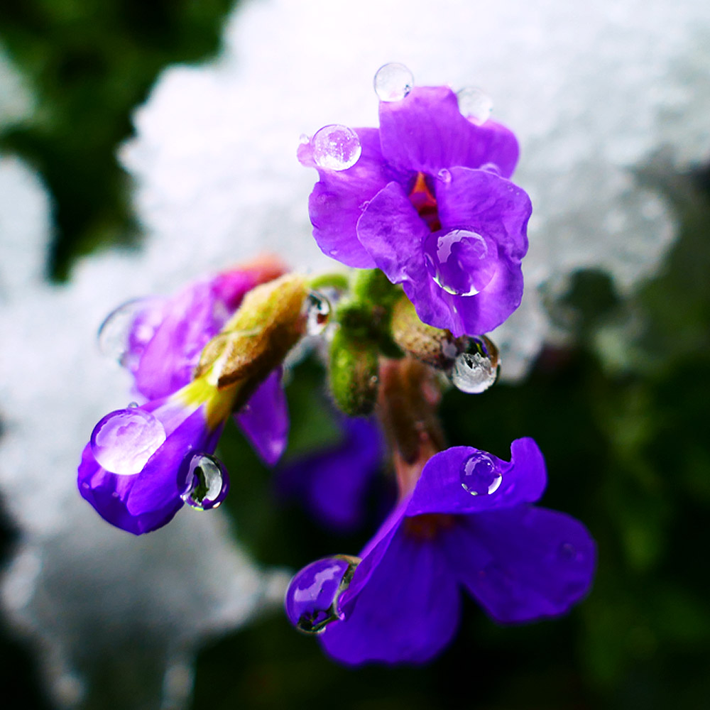Fotografija 4. Omnijinog malog podsjetnika, godina druga