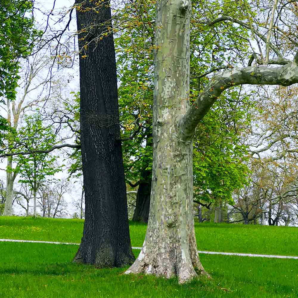 Fotografija 5. Omnijinog malog podsjetnika, godina druga