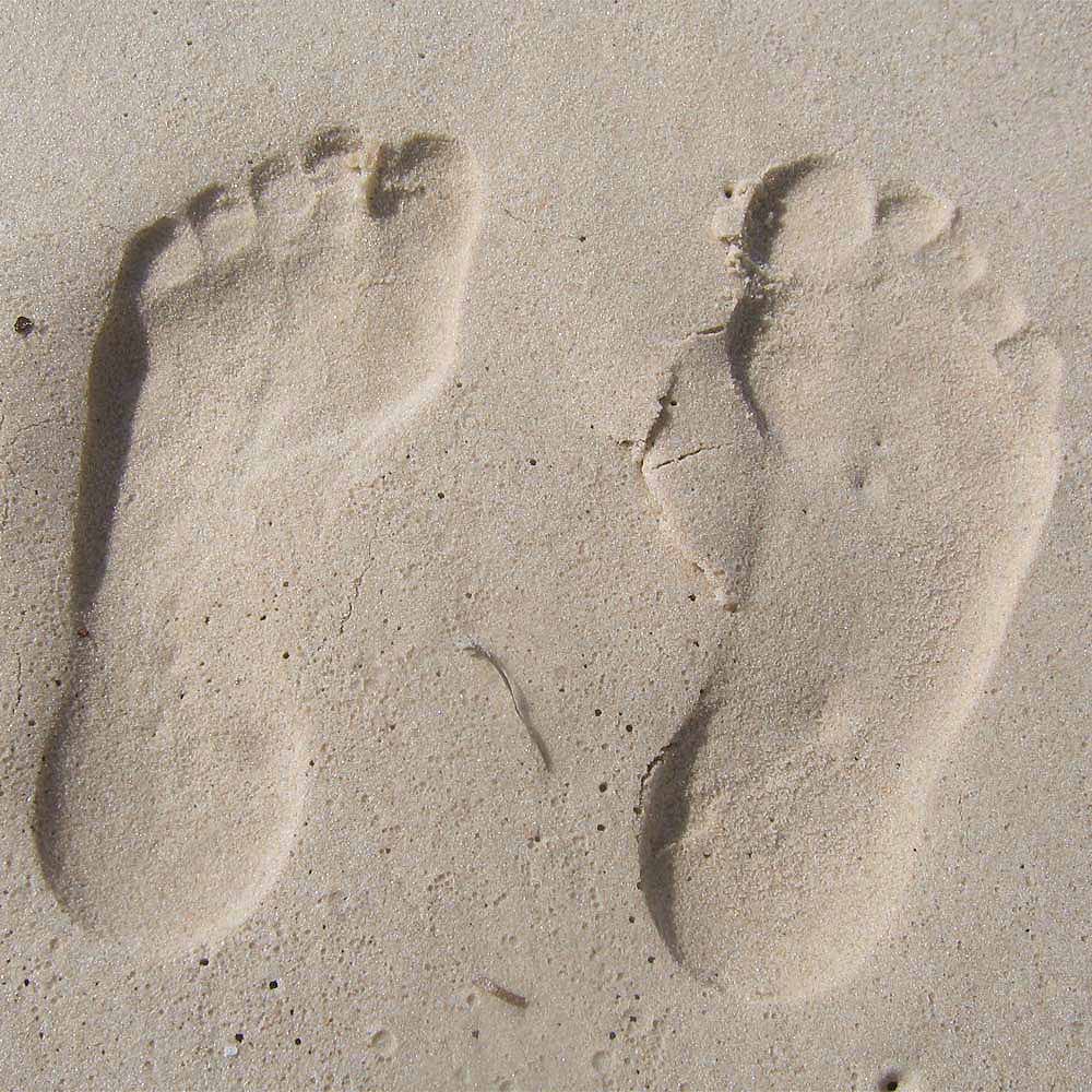 Fotografija 6. Omnijinog malog podsjetnika, godina druga