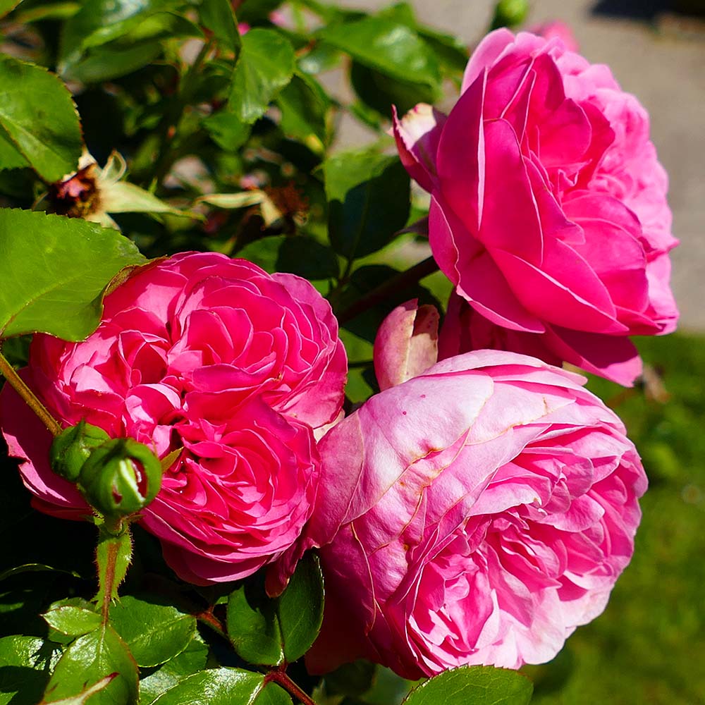 Fotografija 10. Omnijinog malog podsjetnika, godina druga