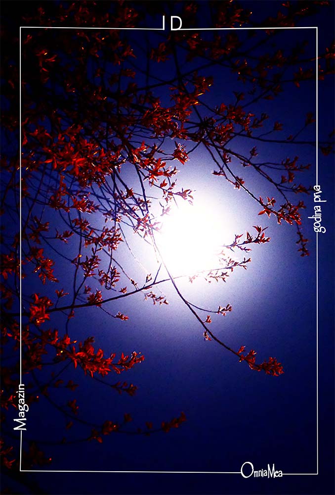 Fotografija 7. poglavlja, pun mjesec na plavom noćnom nebu