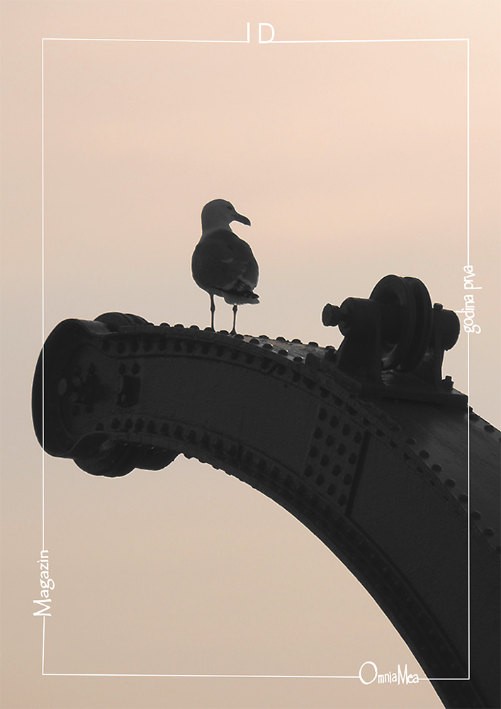 Fotografija 2. poglavlja, galeb na staroj dizalici za plovila