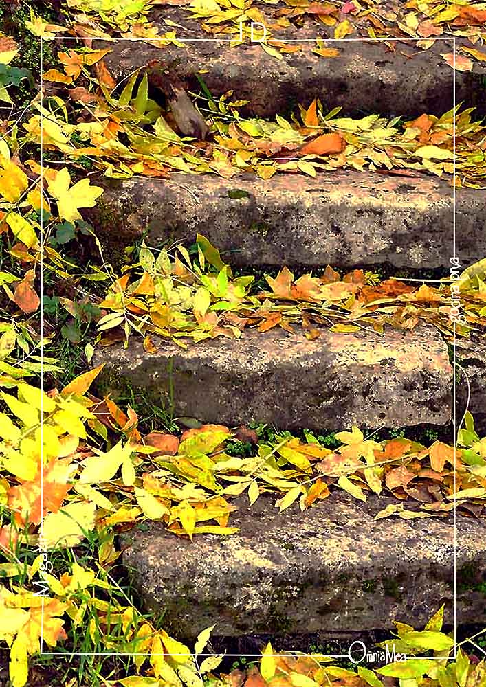 Fotografija 9. poglavlja, vanjske kamene stepenice prepune uvelog žutog lišća