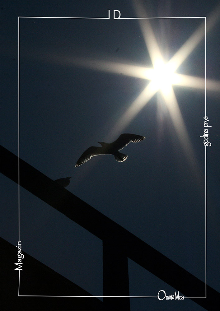 Fotografija 7. poglavlja, galeb leti ispod sunca, tamna fotografija